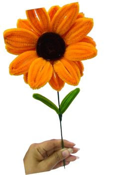 Girasol de Limpiapipas