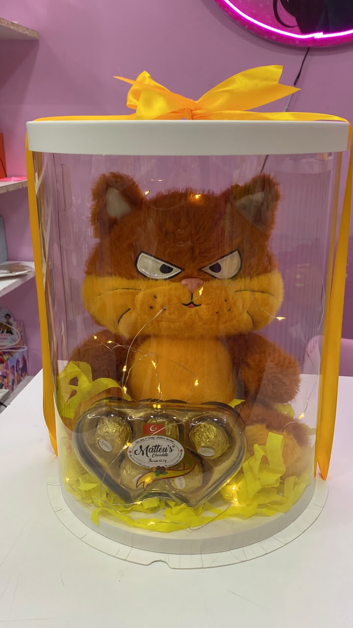 Gato Naranjoso